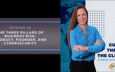 The Three Pillars of Business Risk: Product, Founder, and Cybersecurity